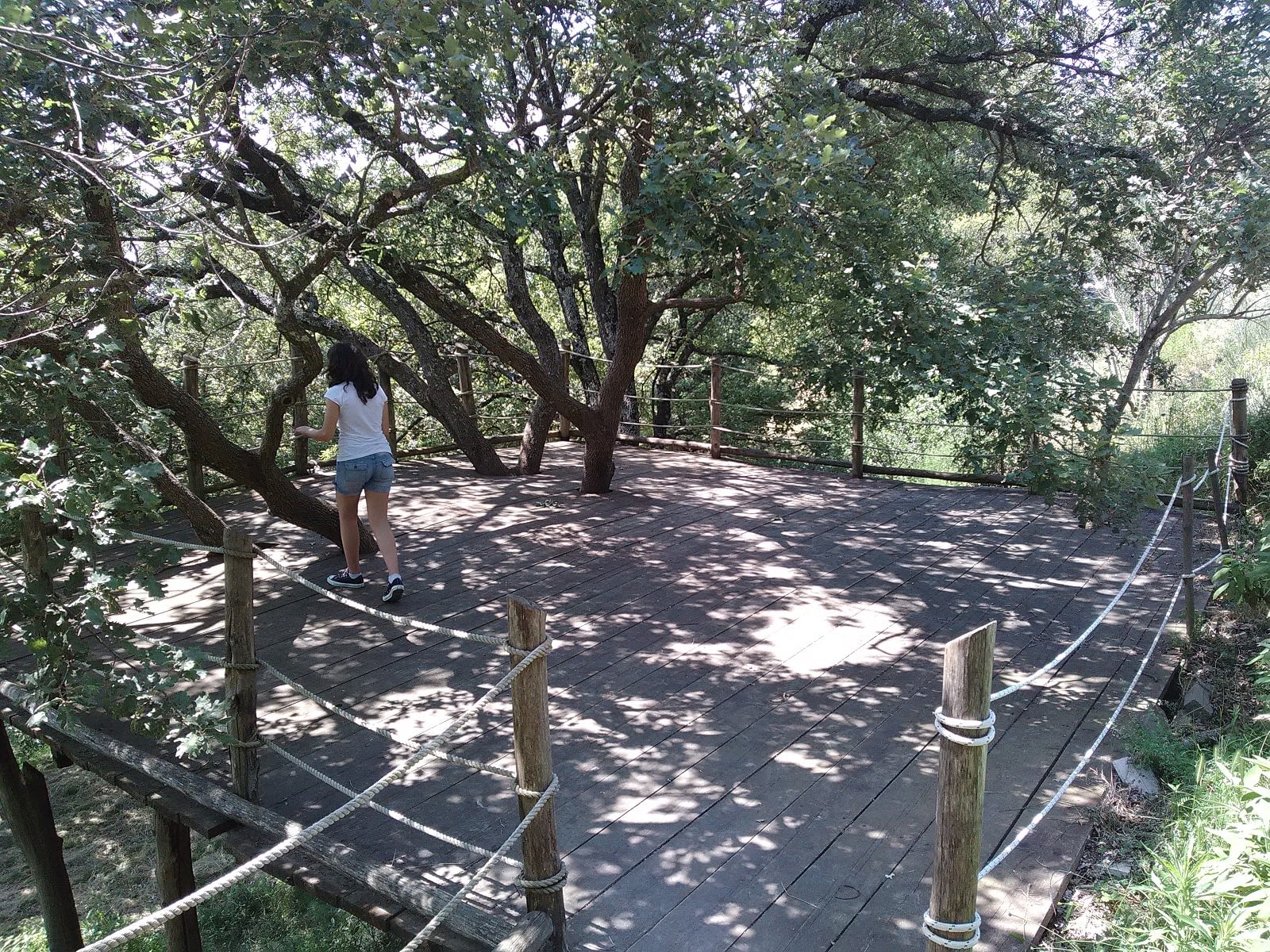 La piattaforma tra gli alberi